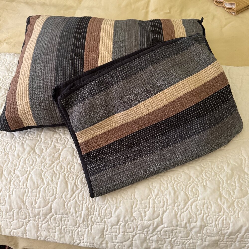 Pottery Barn Teen Pillow Shams, set of 2, grey, tan, brown, black